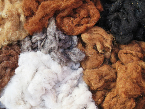 Natural dyed wool yarn in the peruvian Andes at Cuzco Peru