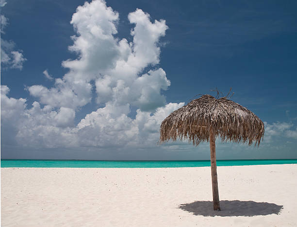 istock obrellone on a beautiful tropical beach 133690053