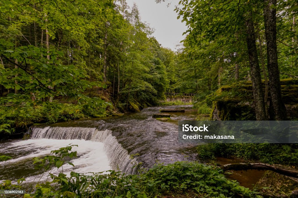 idyllic river landscape in the forest with a small waterfall An idyllic river landscape in the forest with a small waterfall Baltic Countries Stock Photo