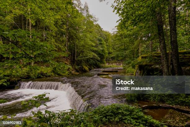 Idyllic River Landscape In The Forest With A Small Waterfall Stock Photo - Download Image Now