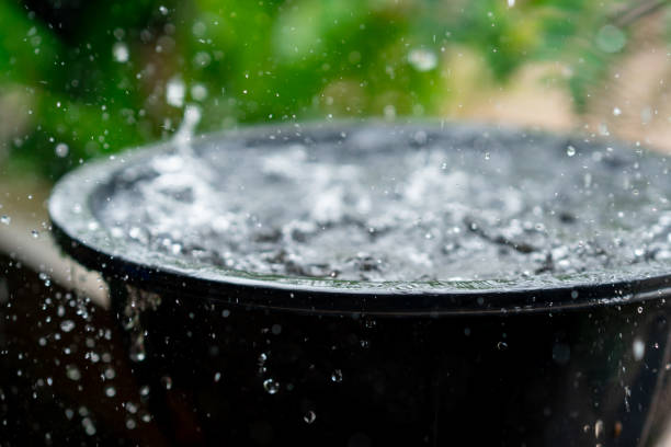istock Rain droplets splash  on blurred green tree background 1336904386