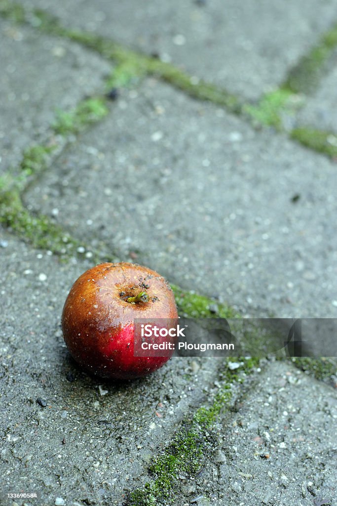 Apple no terreno. - Royalty-free Amarrotado Foto de stock