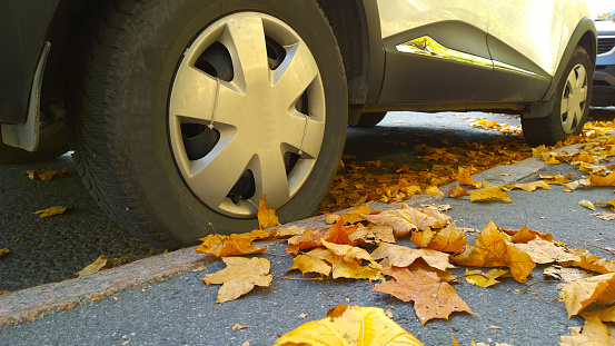 Car wheel on road. Yellow dry fallen maple leaves on asphalt. Golden autumn street. Travelling. Driving. Automobile hubcap. Protection auto. Fall. Vehicle tire pressure check concept. City life.