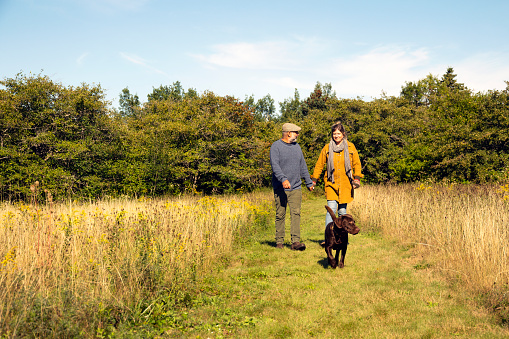 A heterosexual couple walking their dog in the fall on a country footpath.