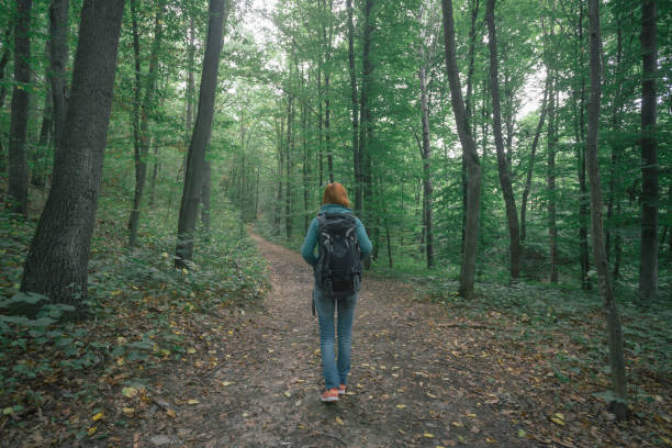istock Wonderlust solo traveler 1336913193