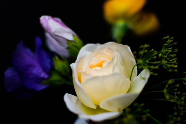 istock bouquet of flowers 1336916591