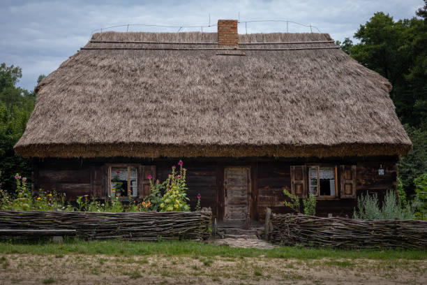 Sierpc, Poland - July 23, 2021:A traditional, brown wooden house with thatched roof. Hollyhocks blooming in the garden, surrounded by a wooden fence.