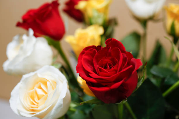 istock bouquet roses, red 1336918195