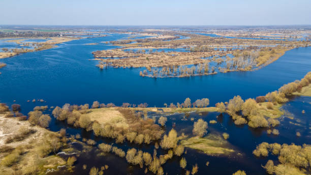 istock Aerial view of the lake or river with pattern wave. Water surface with ripples texture background. Viewed from above. Environment concept. 1336923901