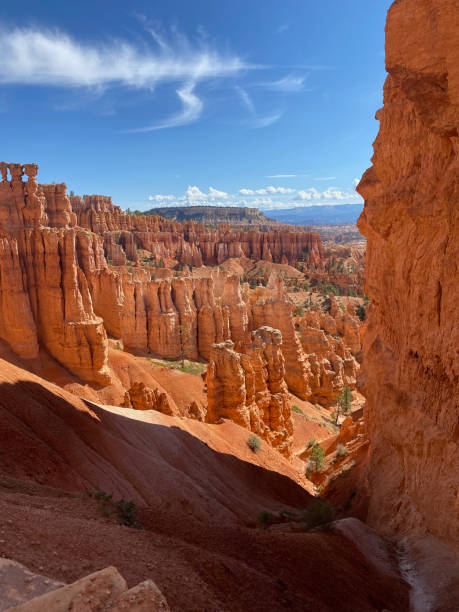 istock Hoodoos in a canyon at Bryce National Park 1336924719