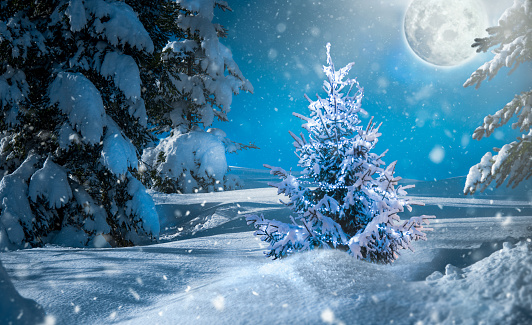 Christmas Snowy Landscape with a lot of Snow, Fir Trees and Moon
