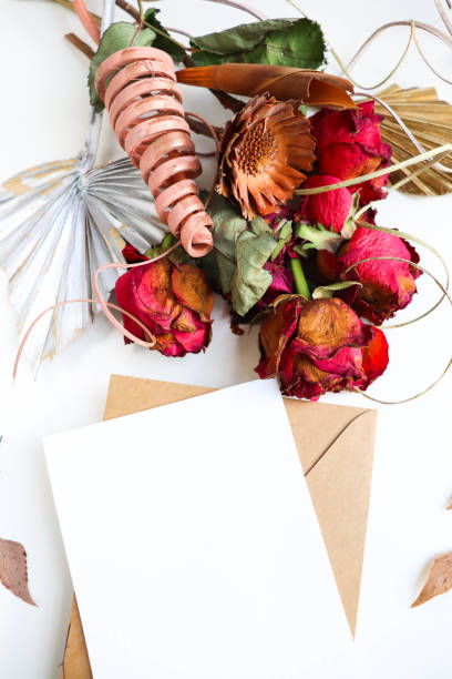 istock dried flowers, leaves and twigs 1336928941