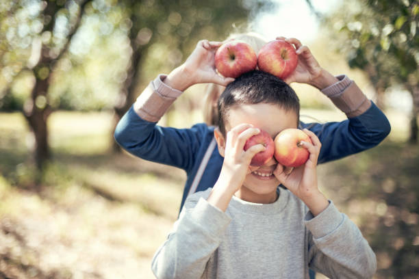 niños con manzana en huerto. concepto de cosecha. - apple orchard child apple fruit fotografías e imágenes de stock