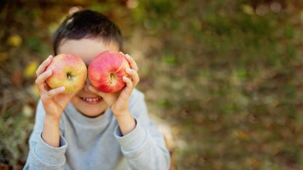 niños con manzana en huerto. concepto de cosecha. - apple orchard child apple fruit fotografías e imágenes de stock