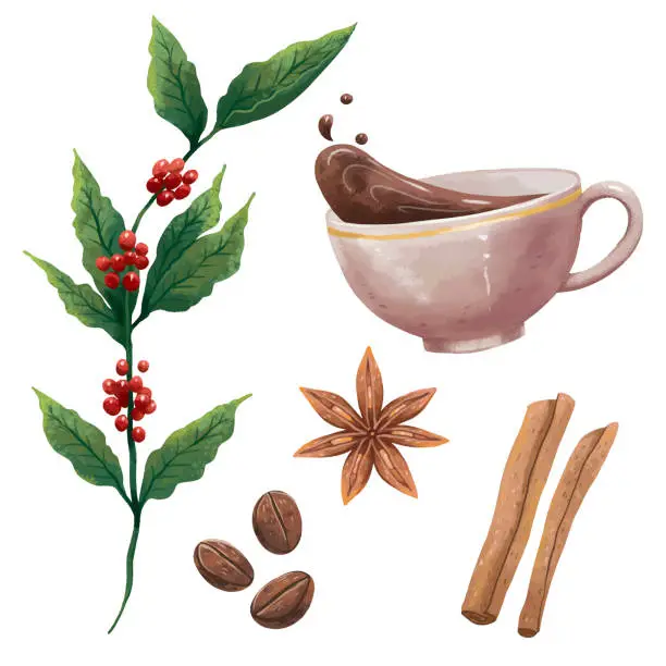 Vector illustration of illustration of coffee, plant with berries, coffee mug, splashes, coffee beans, cinnamon sticks, cardamom stars