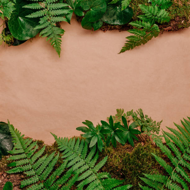 istock Forest plants, moss and tree bark on craft paper background with copy space 1336932401