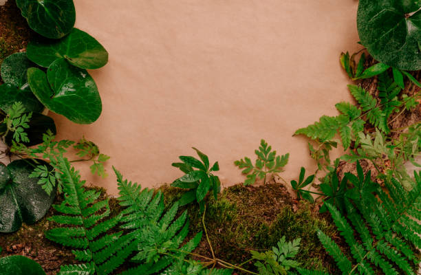istock Forest plants, moss and tree bark on craft paper background with copy space 1336932405