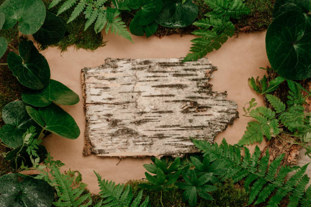 Forest plants, moss and tree bark on craft paper background with copy space