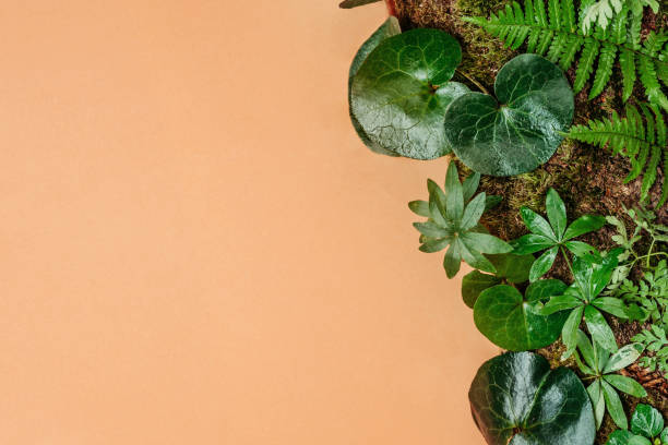 istock Forest plants, moss and tree bark on craft paper background with copy space 1336932433