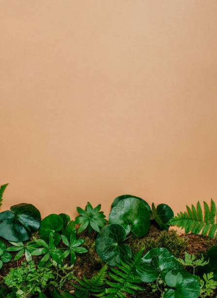 Forest plants, moss and tree bark on craft paper background with copy space