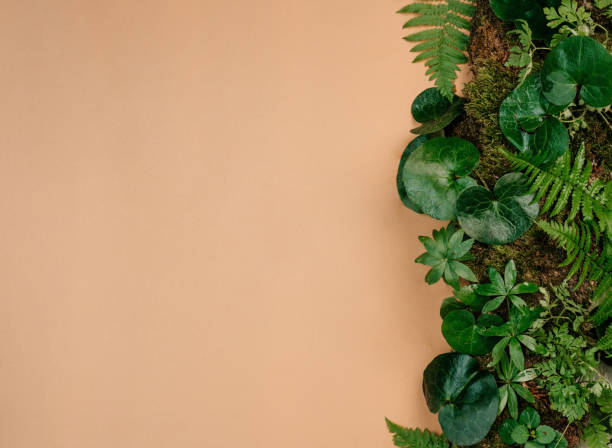 istock Forest plants, moss and tree bark on craft paper background with copy space 1336932443