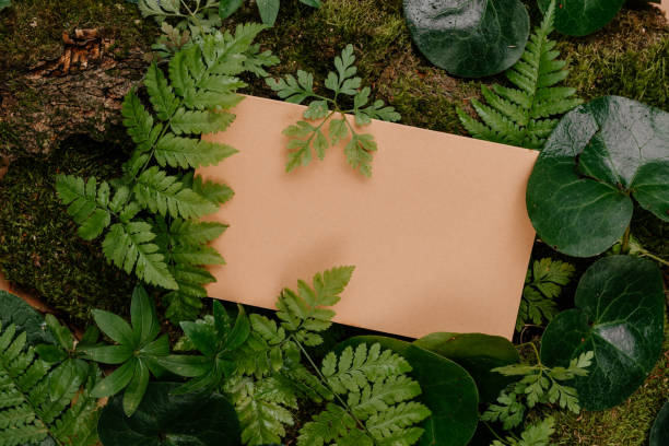 Forest plants, moss and tree bark on craft paper background with copy space