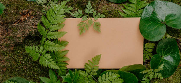 istock Forest plants, moss and tree bark on craft paper background with copy space 1336932460