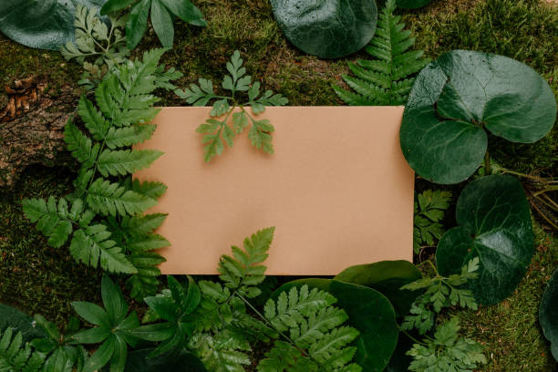 istock Forest plants, moss and tree bark on craft paper background with copy space 1336932462