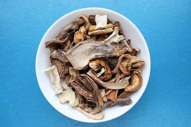 istock plate with dried porcini mushrooms 1336933837