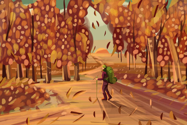 ilustrações de stock, clip art, desenhos animados e ícones de young man hiking in autumn forest - adult autumn backgrounds beauty