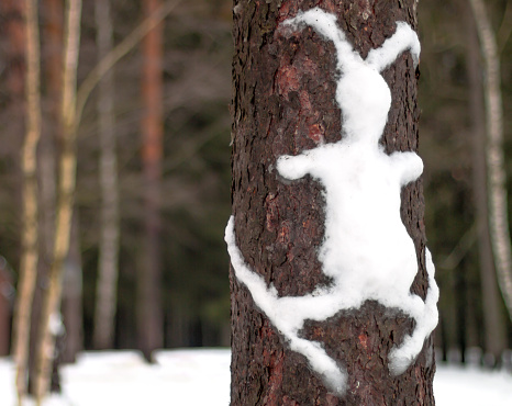 Easter skiing bunny made on a wood bark in a public park