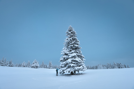 Man standing by the tall Christmas tree on remote glade in the mountains.