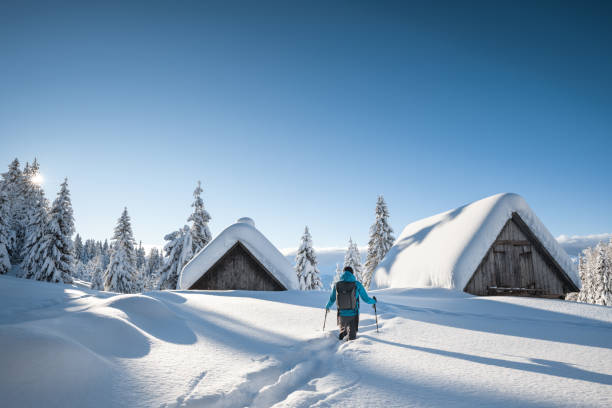 snowy winter day - winter chalet snow residential structure imagens e fotografias de stock