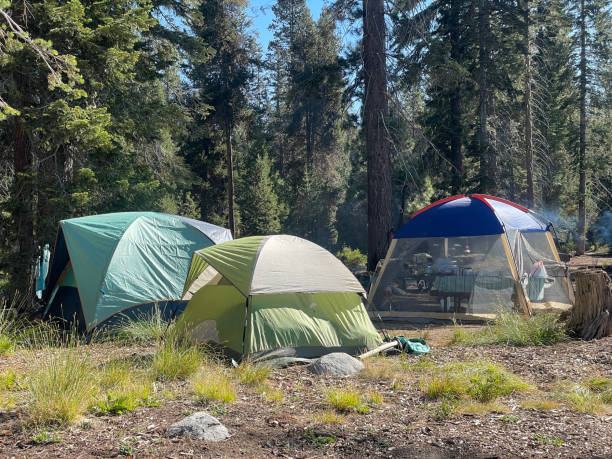 istock Tents in camp ground surrounded by pine trees 1336944919