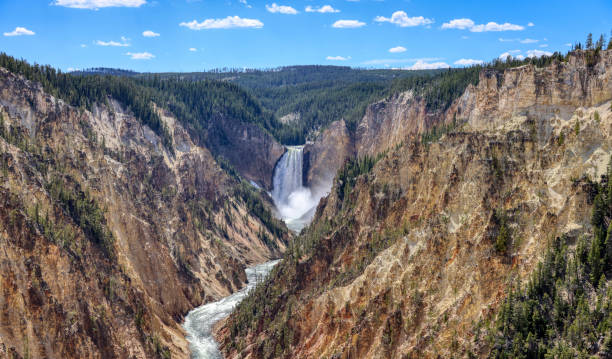 istock Grand Canyon of Yellowstone 1336946582