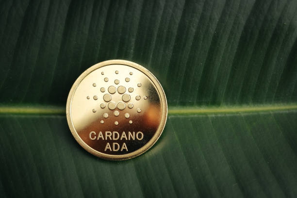 Cardano Ada cryptocurrency coin close-up on a plant leaf Physical Cardano Ada cryptocurrency coin close-up on a plant leaf altcoin photos stock pictures, royalty-free photos & images