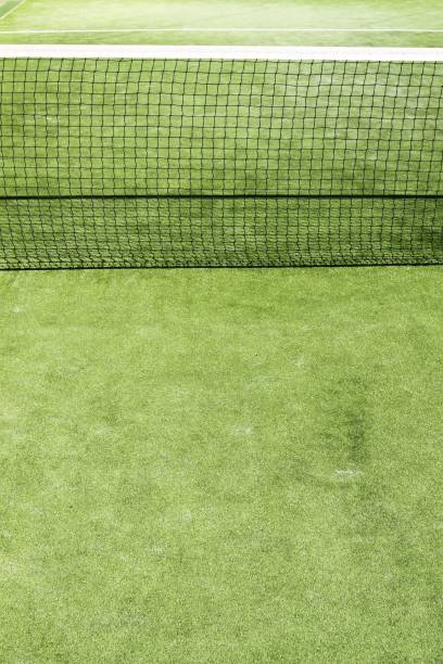 istock paddle tennis green grass field texture white lines 1336960003