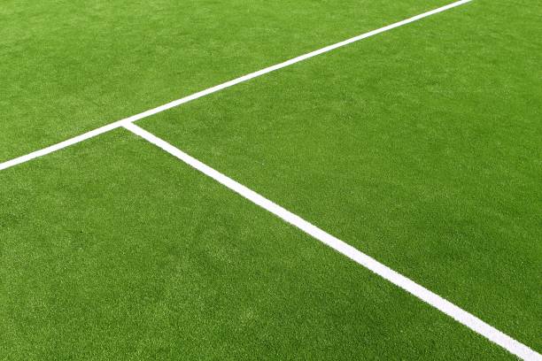 istock paddle tennis green grass field texture white lines 1336960010