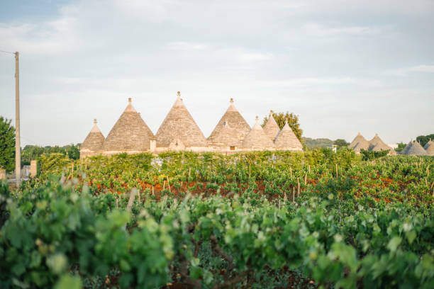 View across a field to a group of Trulli houses stock photo