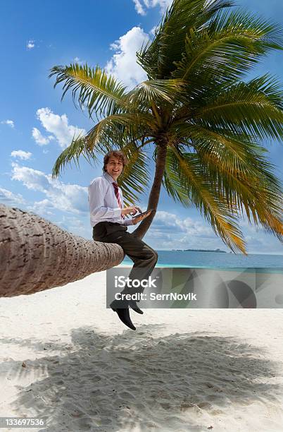 Biznesmen Za Pomocą Tabletu Pc Siedzi Na Palm Tree - zdjęcia stockowe i więcej obrazów 20-24 lata - 20-24 lata, 25-29 lat, Białe kołnierzyki