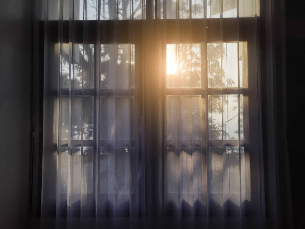istock The lighting through the window. Morning sun lighting the room, shadow background overlays. 1336979687