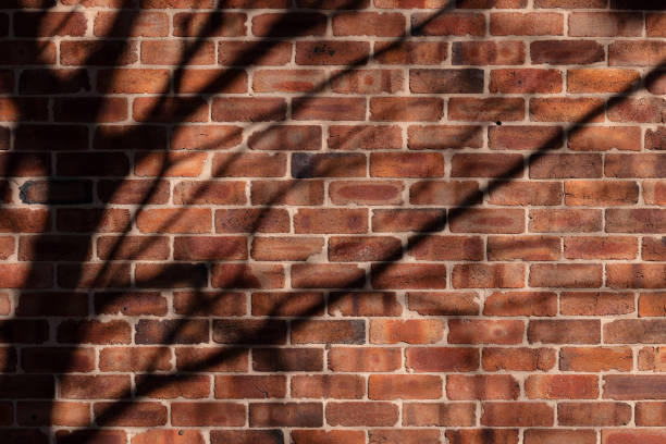 istock Part of a brick wall with shadows 1336979856