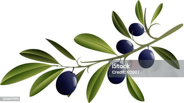 ブラックのオリーヴブランチ - オリーブの枝のベクターアート素材や画像を多数ご用意 - オリーブの枝, オリーブ, ブラックオリーブ