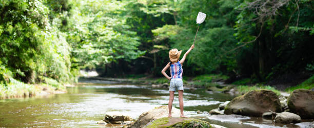 istock A child with an insect net in a mountain stream 1336980486