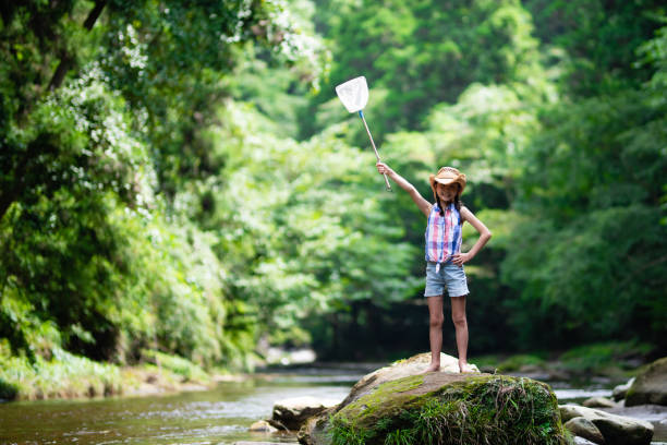 istock A child with an insect net in a mountain stream 1336980491