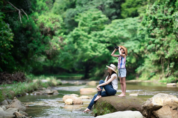 istock Mother and daughter using binoculars on mountain stream rocks 1336980513