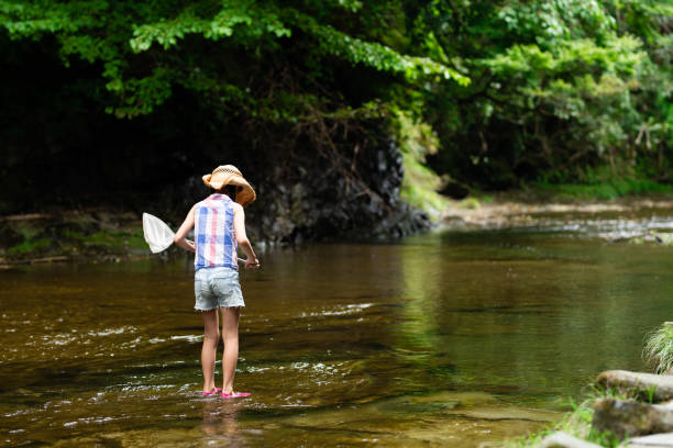 istock A child with an insect net in a mountain stream 1336980545