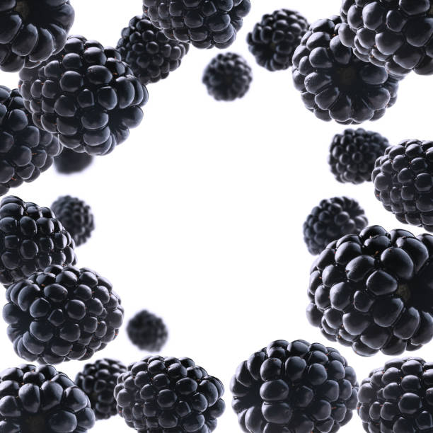 istock Ripe blackberries levitate on a white background 1336980576
