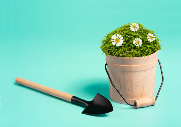 istock Garden tools and flower  on green background. 1336980737