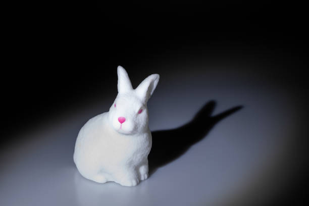 Cute little bunny rabbit on dark black background.